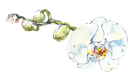 SPA_02.png