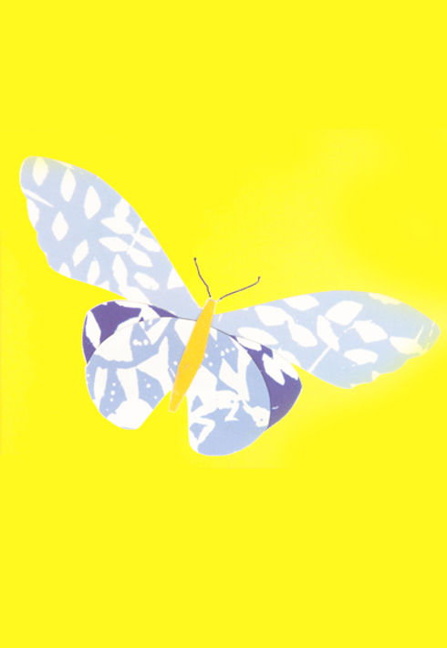 papillon jaune