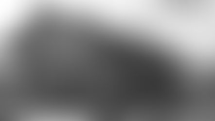 It's raining cows in Pelahatchie, Mississippi - TROOP TRAIN