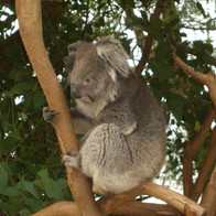 Contemplation