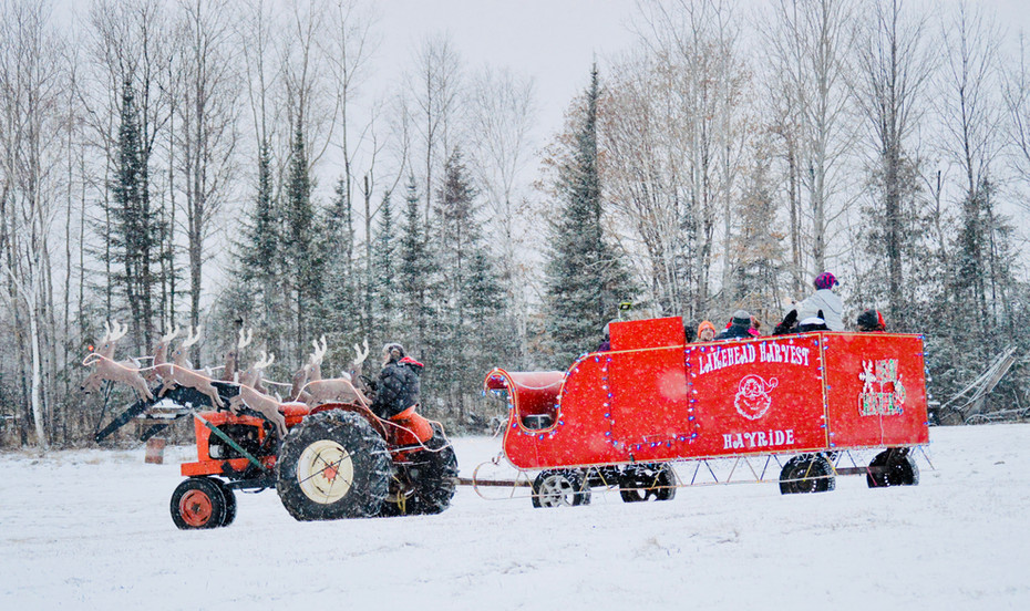 Winter Hay Rides Gallery Mysite