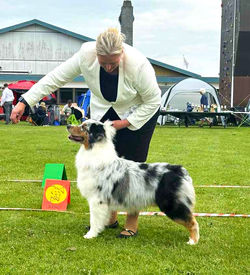 dc03d0d9-cc2c-4ab1-90ad-6b1cdbae49b9_edited