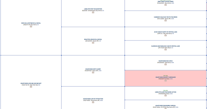 Pedigree Jagger&Jesse.PNG