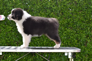 DSC_0086.JPG
