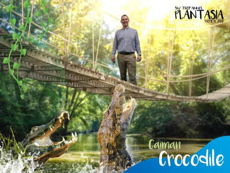 Magic Memories uses technology for lasting animal experiences