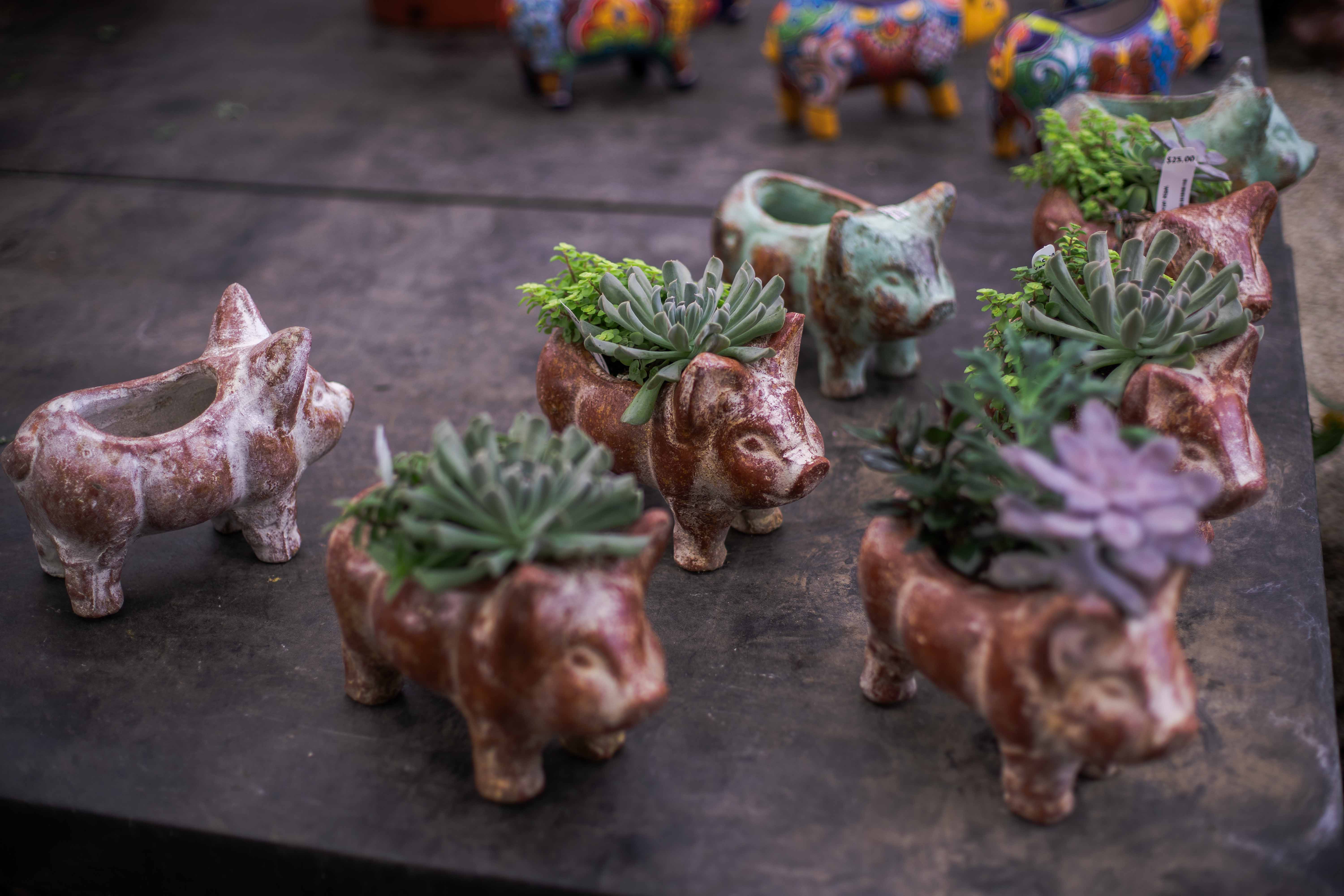 White River Nursery Garden Center Fayetteville, AR