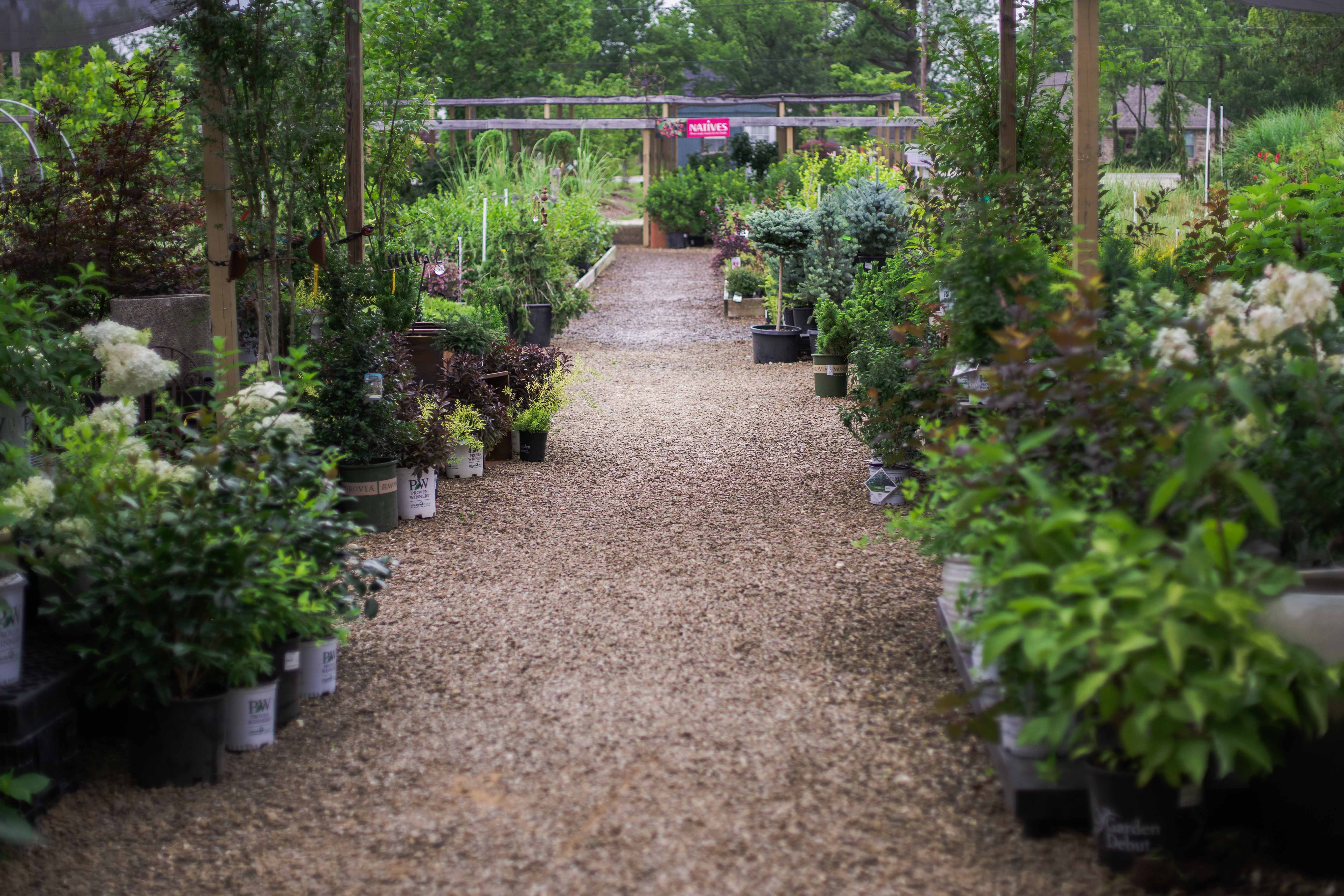 White River Nursery Garden Center Fayetteville, AR