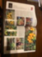 Baker Creek Heirloom Seeds Whole Seed Catalog