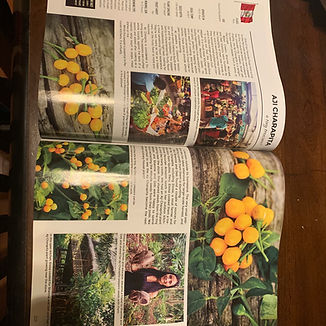 Baker Creek Heirloom Seeds Whole Seed Catalog