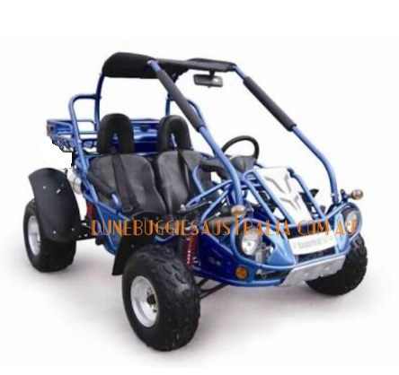 TWISTER XRX300cc