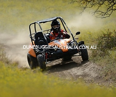 Twister Hammerhead Parts | dunebuggies