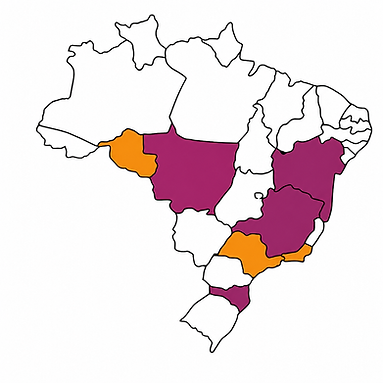 Imagem do Codex 31 de ago. de 2026, 16_26_53.png