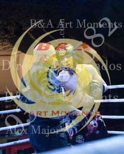 Warriors New Generation II - C5 (395)