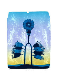 Velký květ II; Klára Sedlo; Voynichův rukopis; litografie