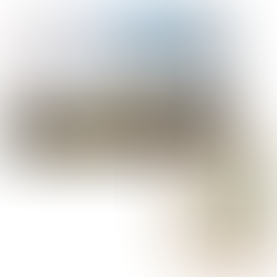 Obraz 'Rostlina odjinud' inspirovaný Voynichovým rukopisem od Kláry Sedlo, vystavený v aukci na obrazyvaukci.cz.