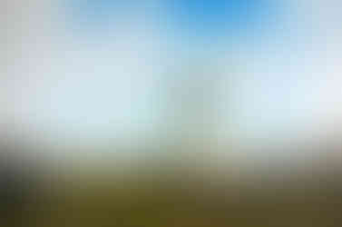 Obraz 'Rostlina odjinud' inspirovaný Voynichovým rukopisem od Kláry Sedlo, vystavený v aukci na obrazyvaukci.cz.