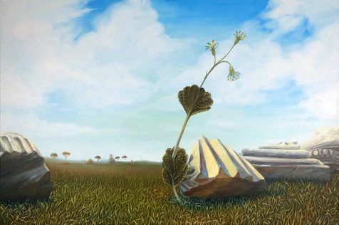 Obraz 'Rostlina odjinud' inspirovaný Voynichovým rukopisem od Kláry Sedlo, vystavený v aukci na obrazyvaukci.cz.