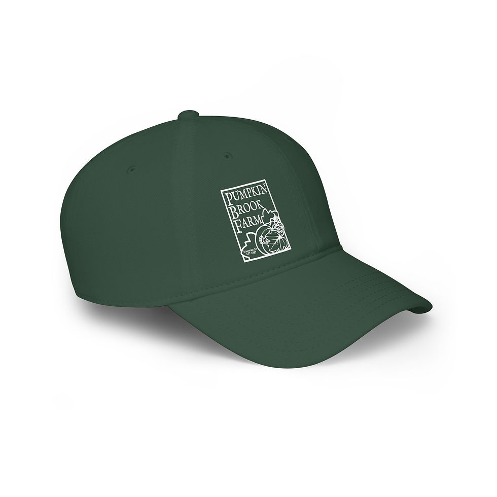 Thumbnail: Low Profile Baseball Cap