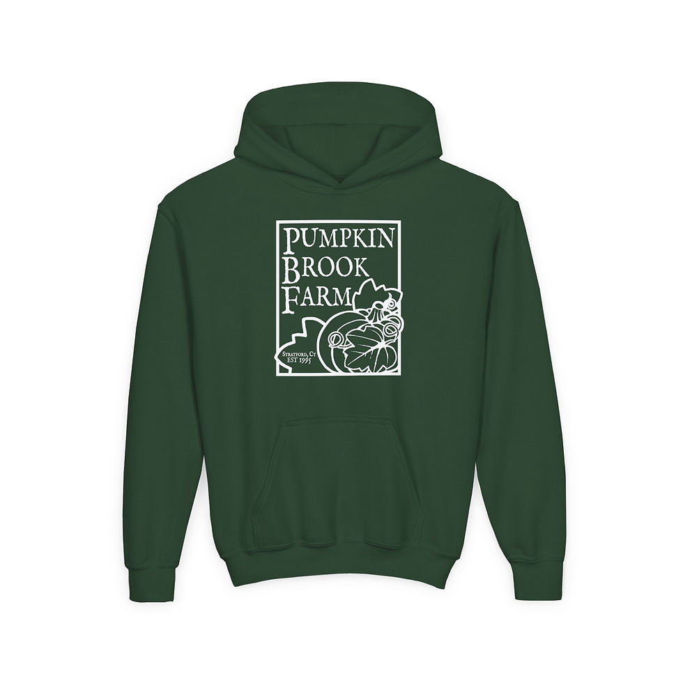 Thumbnail: Youth Hoodie Sweatshirt