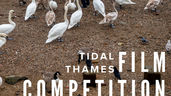 £5k First Prize for Filmmakers at the Tidal Thames Film Competition 2026