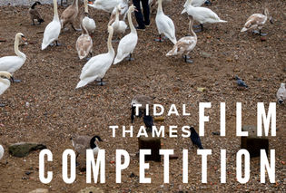 £5k First Prize for Filmmakers at the Tidal Thames Film Competition 2026