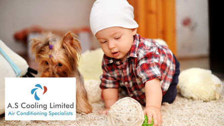 Top Reasons to Install Air Conditioning in Your Kent Home: How It Benefits Children and Pets