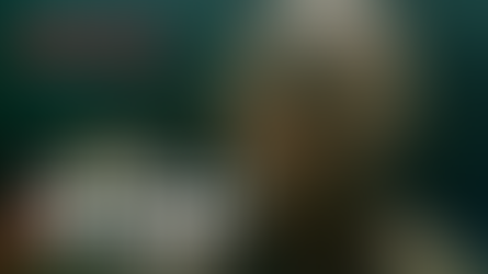 New Netflix Movie - Remarkably Bright Creatures - Drops Teaser