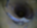3.8m still.png