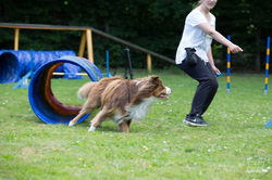 FB_IMG_1751401225153