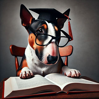 tricolourfarbener bullterrier hat eine brille auf und einen high school hut. er sitzt auf einem holzstuhl und schaut in ein aufgeschlagenes buch