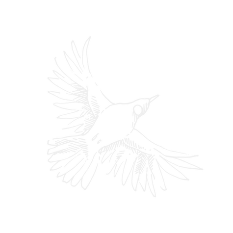 REP-Slide Assets_01-Tui_edited.png