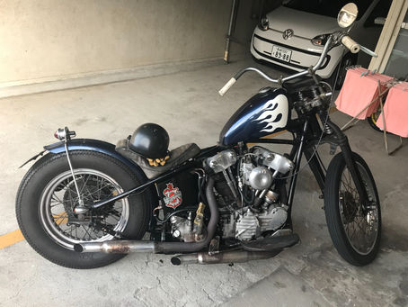 輝いて見える‼️