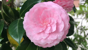 ゆっくりしてきました！