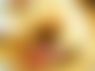 久しぶりに＆お知らせ！