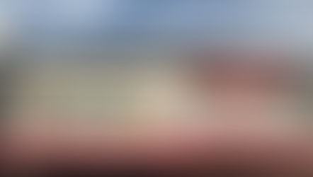 佐世保バーガー