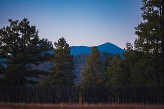 A wooden fence sits in front of pine trees and the San Francisco Peaks at Buffalo Park, Flagstaff Arizona
