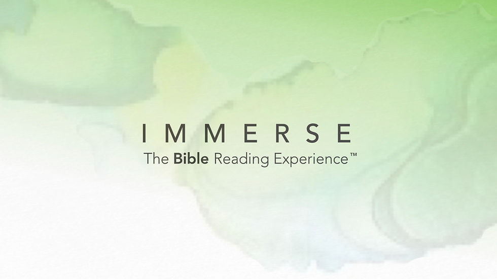 Immerse website.001.jpeg