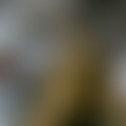 Liquid Gold: A Wealth of Your Own Creation