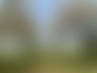 春?いやいや夏??