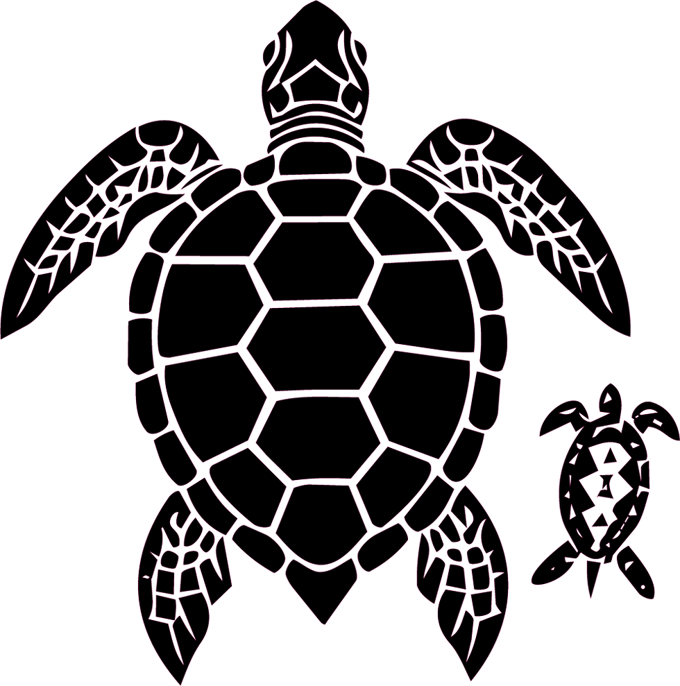 Thumbnail: Sea Turtles
