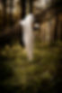 Forêt portrait