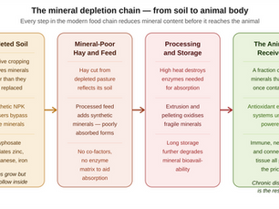 The Mineral Depletion Crisis: Why Modern Soil, Feed, and Food No Longer Contain What Animals Need