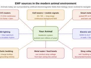 EMF Exposure and Animal Health: What We Know and What You Can Do