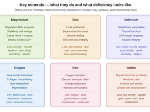 The Mineral Depletion Crisis: Why Modern Soil, Feed, and Food No Longer Contain What Animals Need