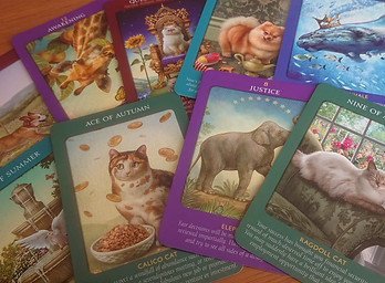 画像：A-3_naturalism