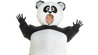 panda.jpeg