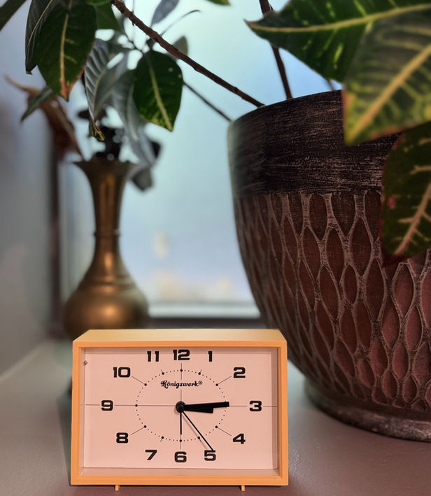 Closeup of retro clock and plants in office window.