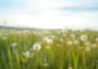 allergy upgrades for AC