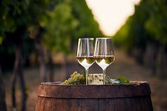 Vineyard_WineBarrel_Cheese.jpeg