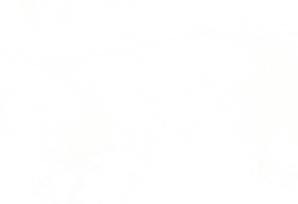JJD_Logo_Background_WebWhiteReverse.png